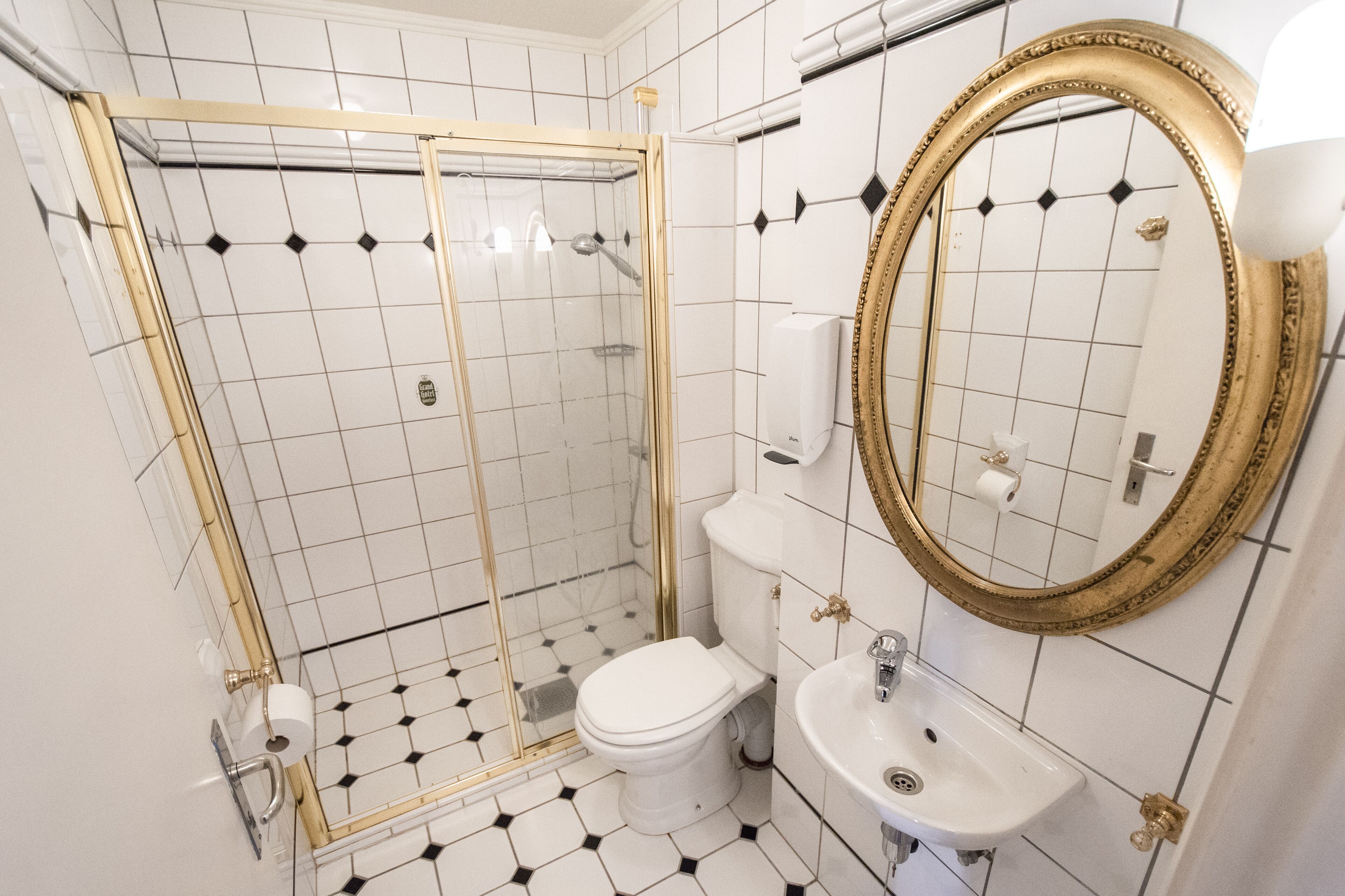 A bathroom with a glass-enclosed shower, a toilet, a sink, and a large mirror with a gold frame.
