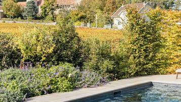 A swimming pool with a view of a vineyard and houses in the background.