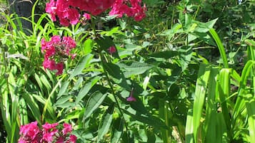 花園