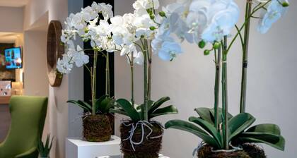 Best Western Auray Le Loch