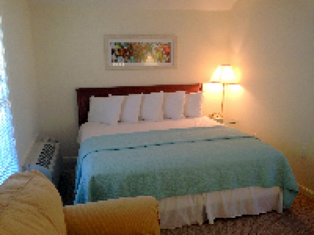 Quarto de hotel com cama, luminária de cabeceira e um quadro na parede.