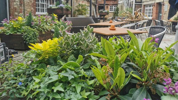 An outdoor patio area with tables and chairs, surrounded by various potted plants and flowers. - The Old Bell Inn (Warminster)