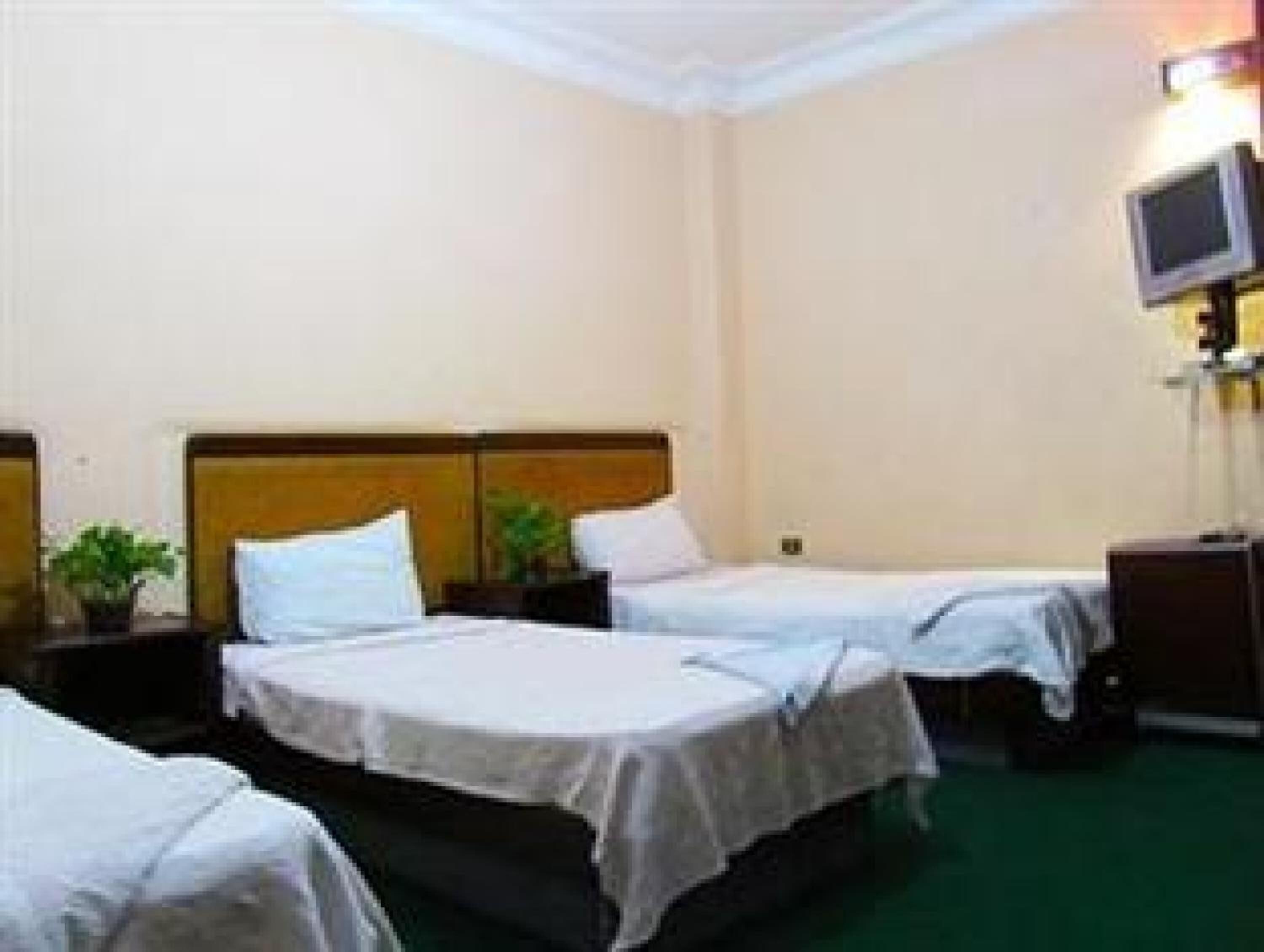 Photo - Arabian Nights Hostel