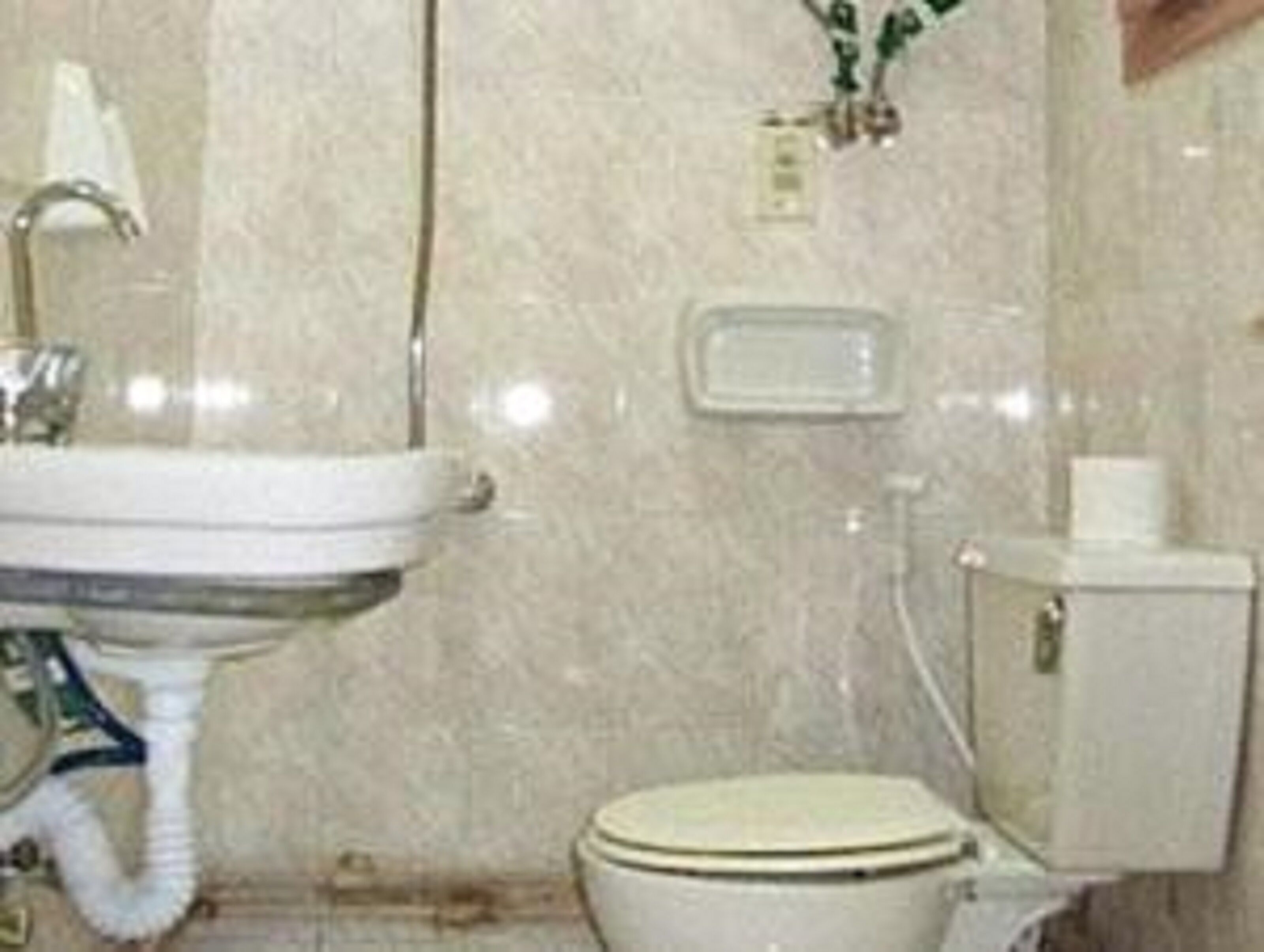 Photo - Arabian Nights Hostel