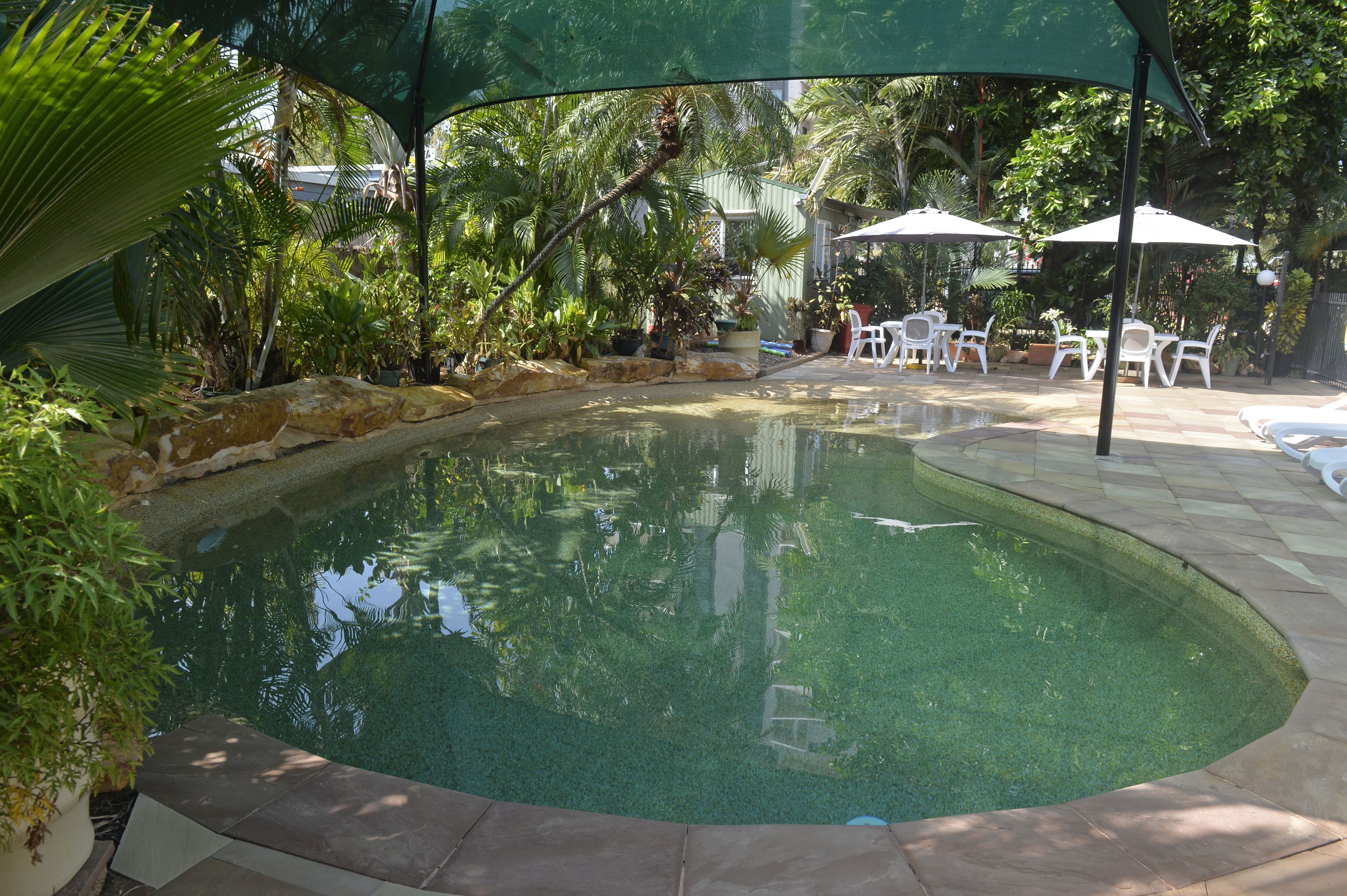 Ein Pool mit gewölbter Kante, umgeben von Topfpflanzen und Gartenmöbeln.