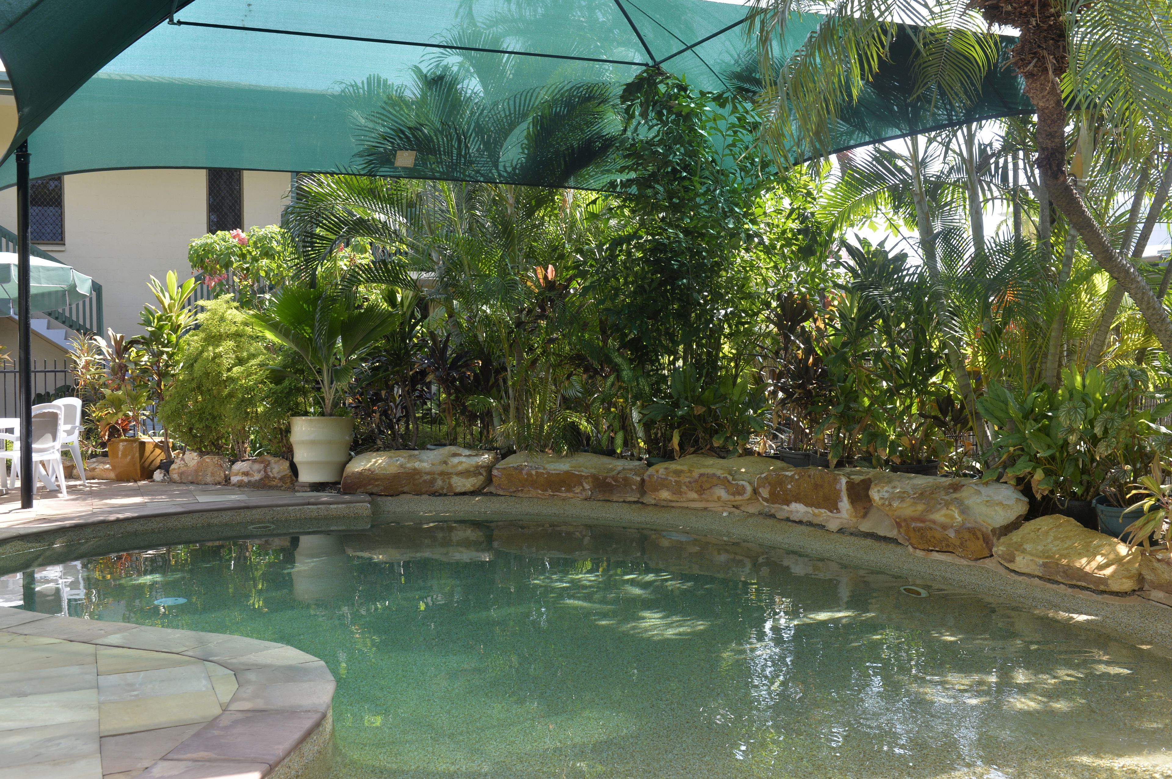 Une piscine bordée de pierres, entourée d’une végétation tropicale luxuriante et dotée d’un espace abrité sous une pergola verdoyante.