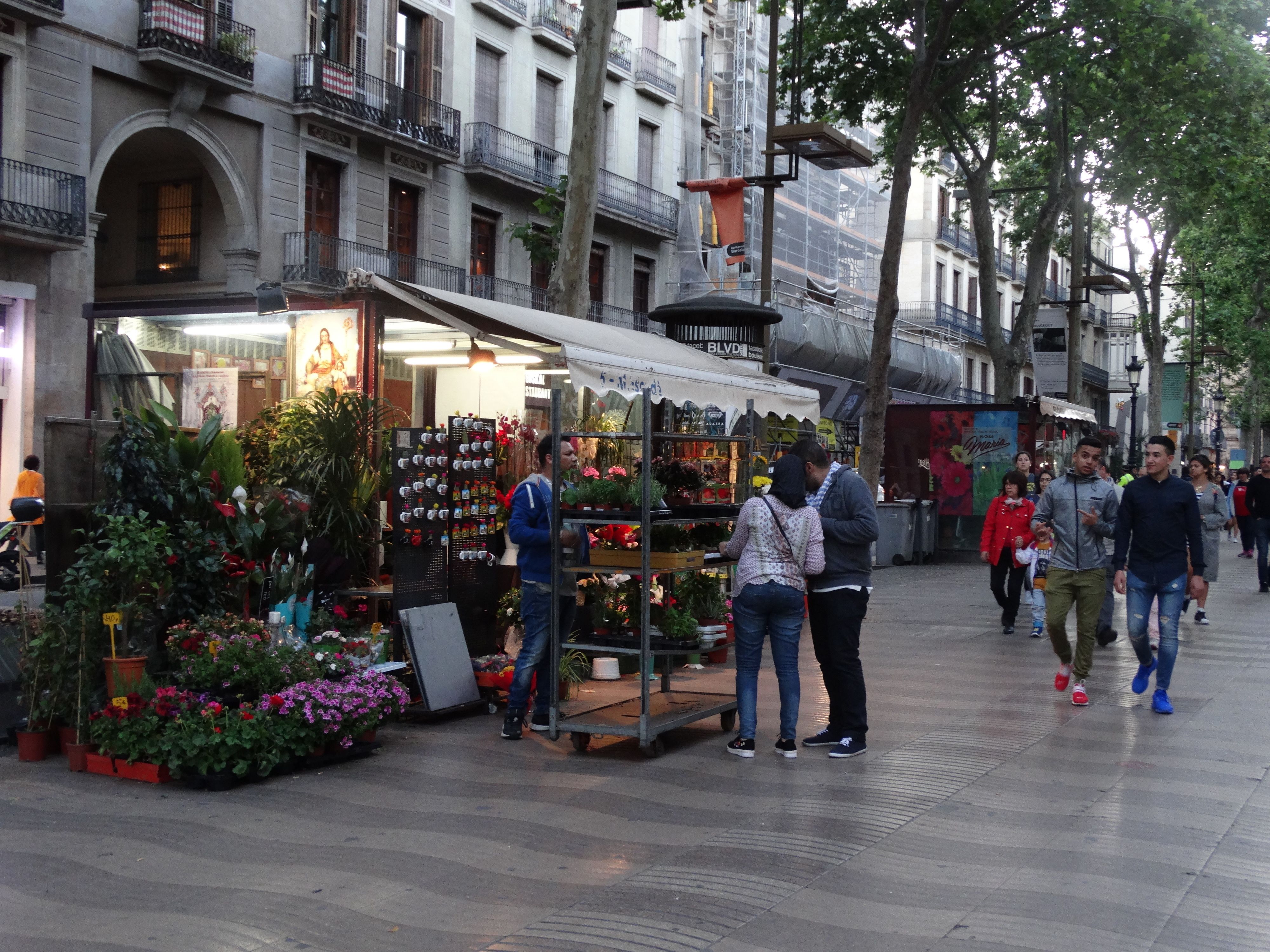 Foto - Hostal Mont Thabor