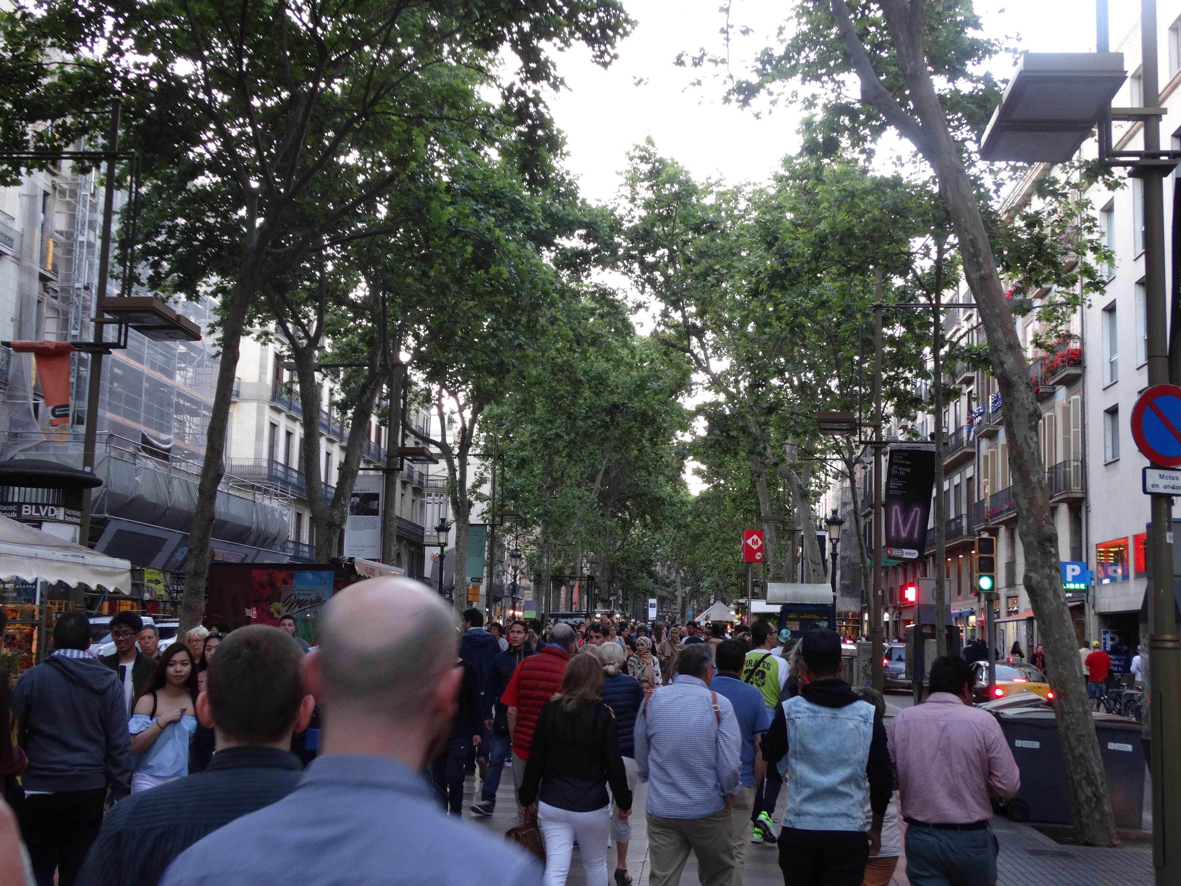 Foto - Hostal Mont Thabor