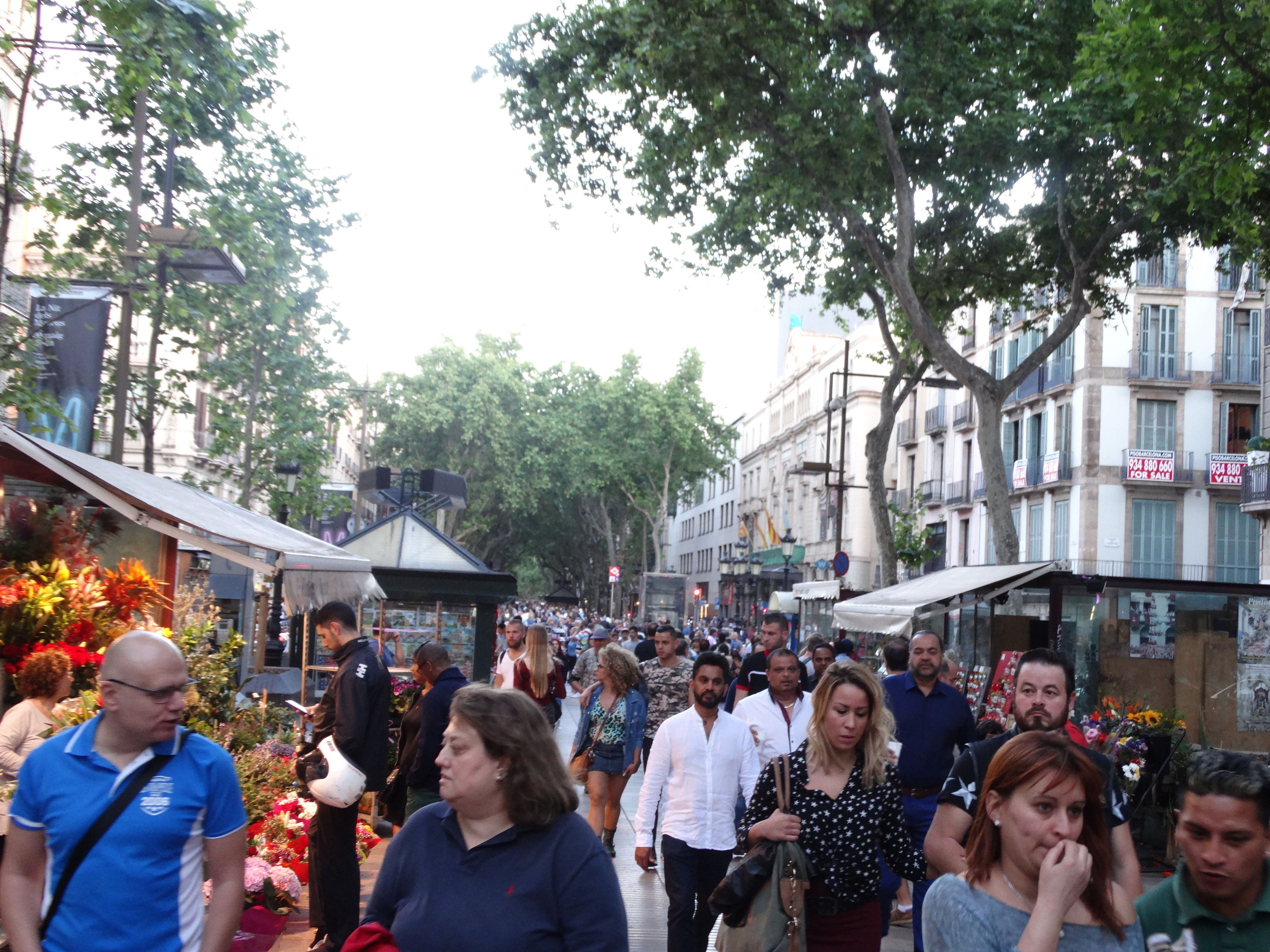 Foto - Hostal Mont Thabor