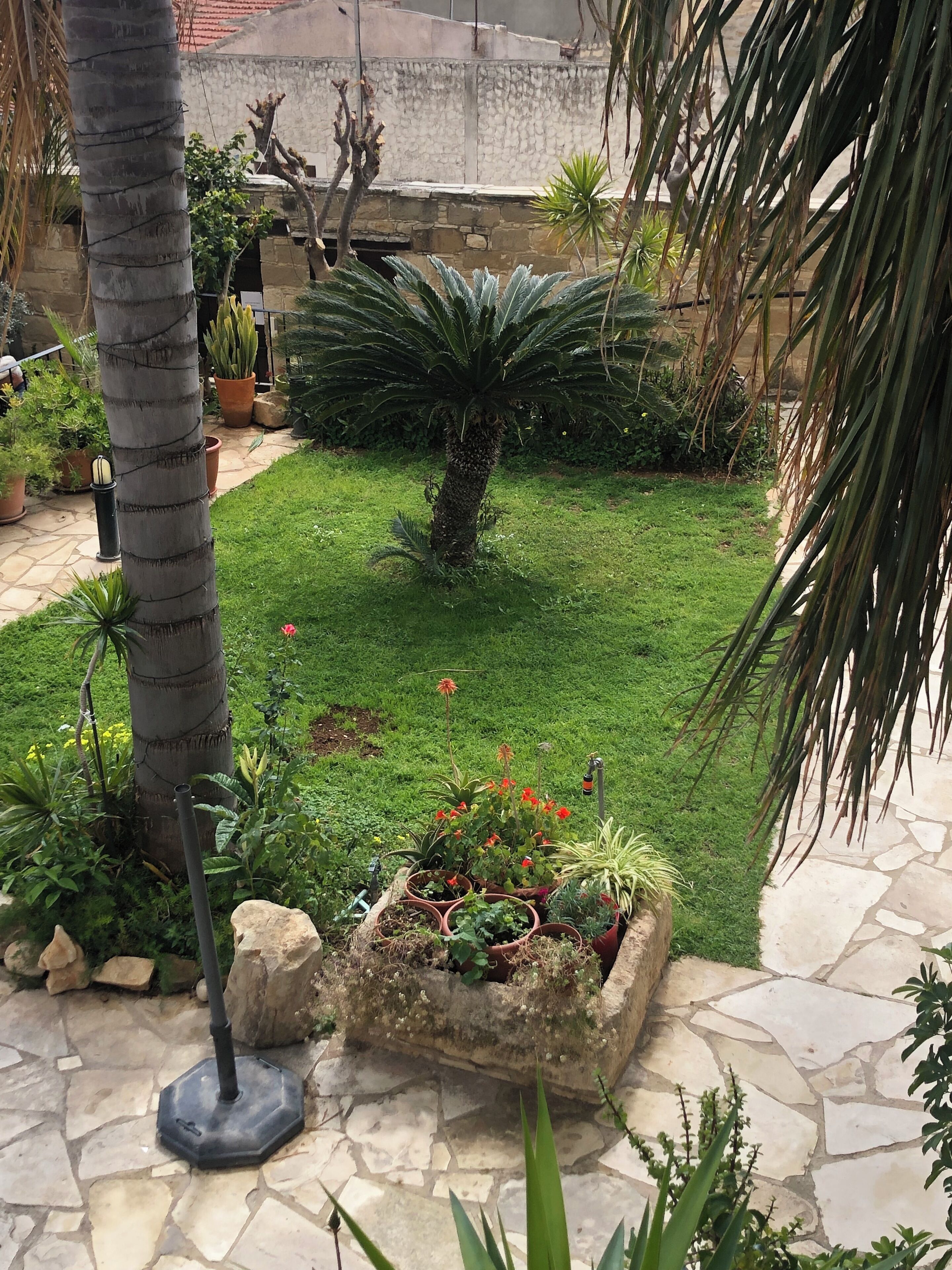 Un jardin où l’on trouve une variété de plantes, un palmier et un sentier en pierre.