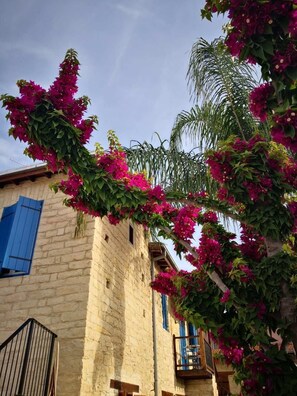 Premium Studio, 1 Double Bed | Garden view - Nikis House (Limassol)