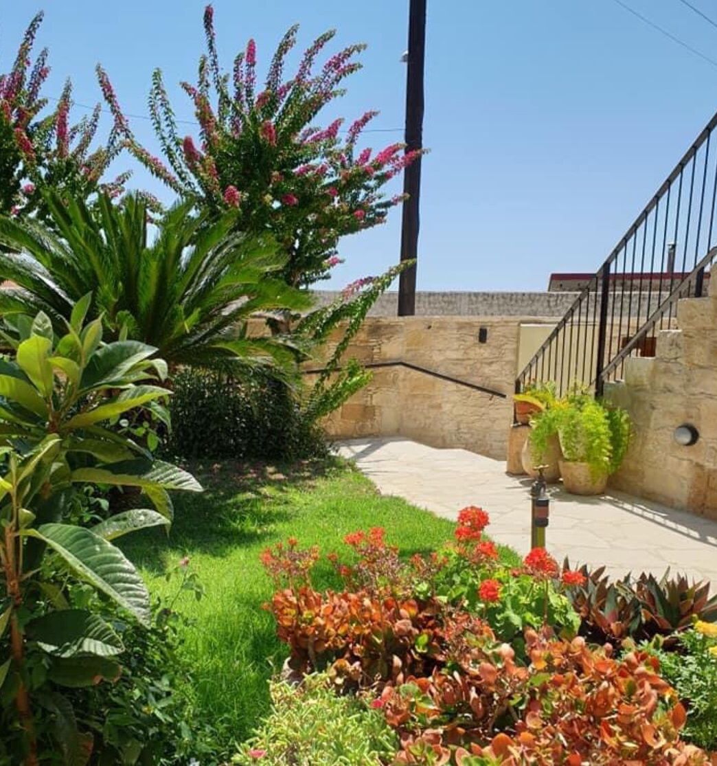 Jardí amb diferents plantes i flors, una paret de pedra i una escala.