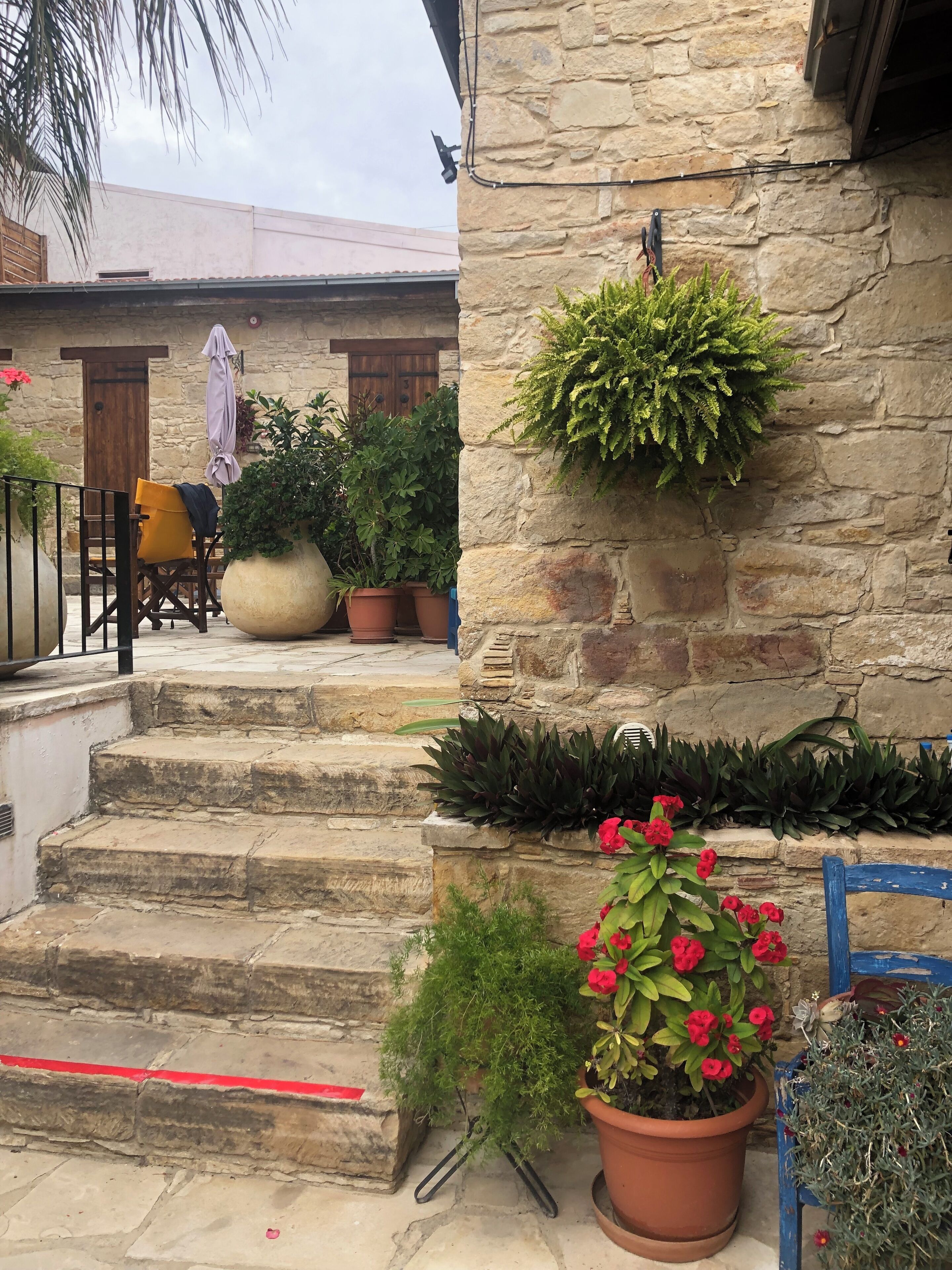 A stone building with a set of outdoor steps leading to a wooden door. There are several potted plants and a blue chair on the steps.