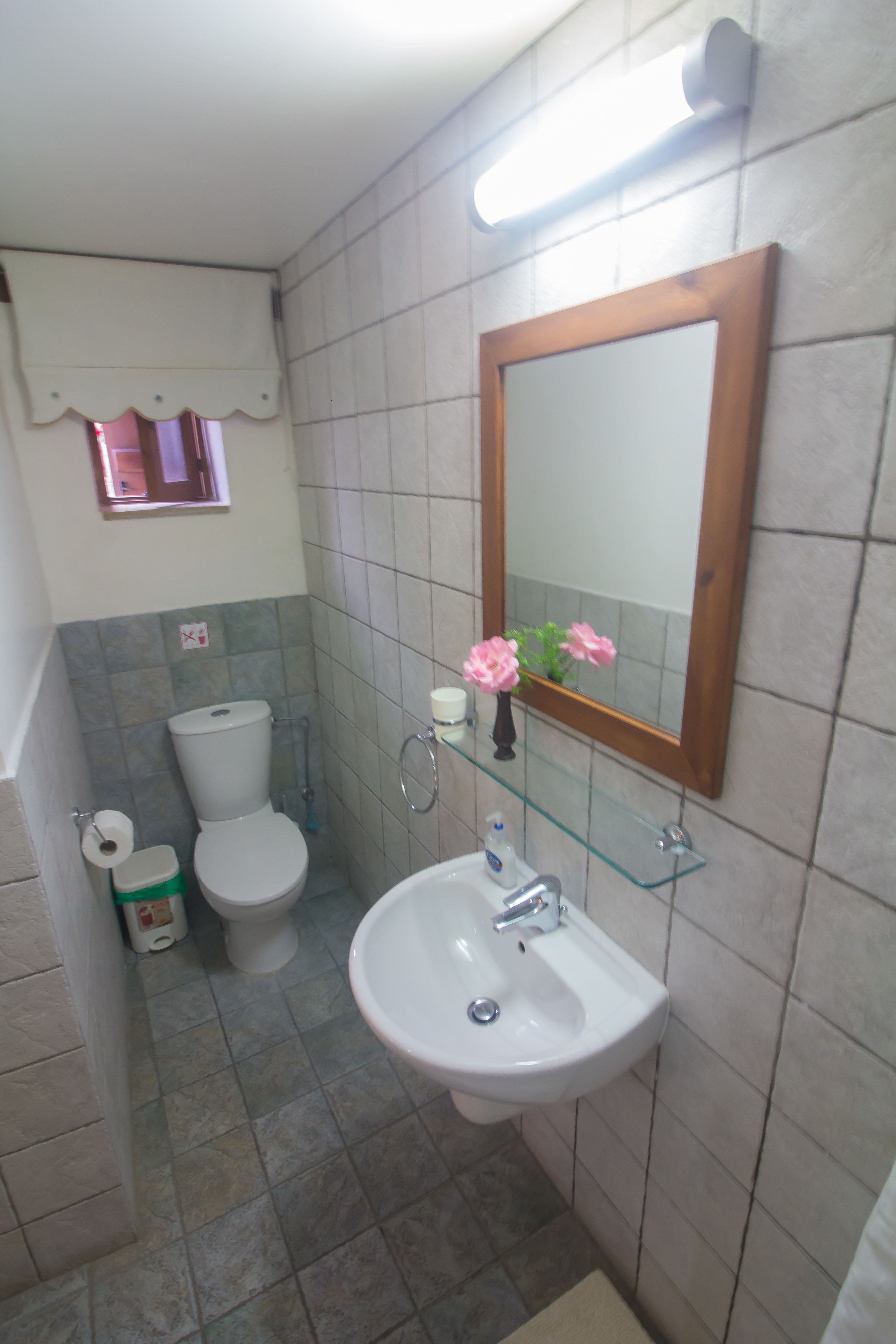A bathroom with a toilet, sink, and mirror.