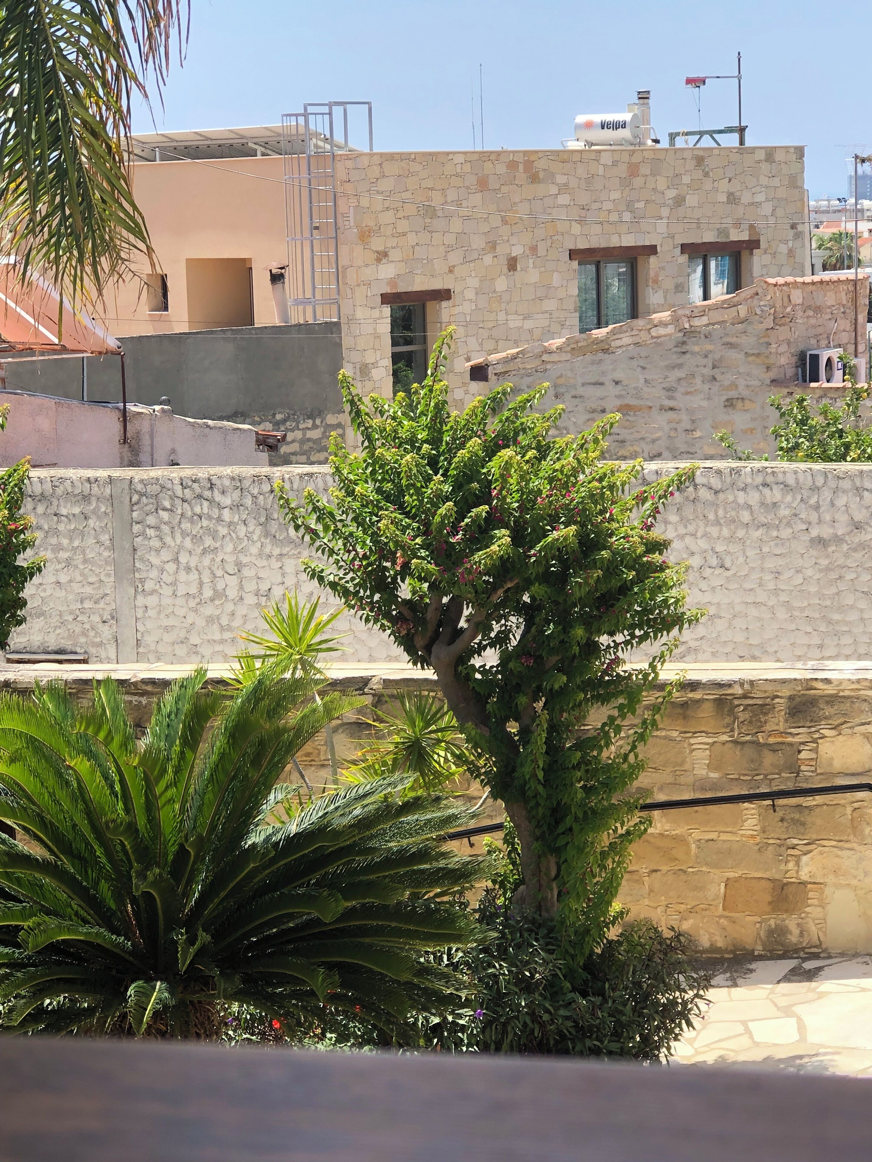 A stone building with a metal railing and a palm tree in the foreground.