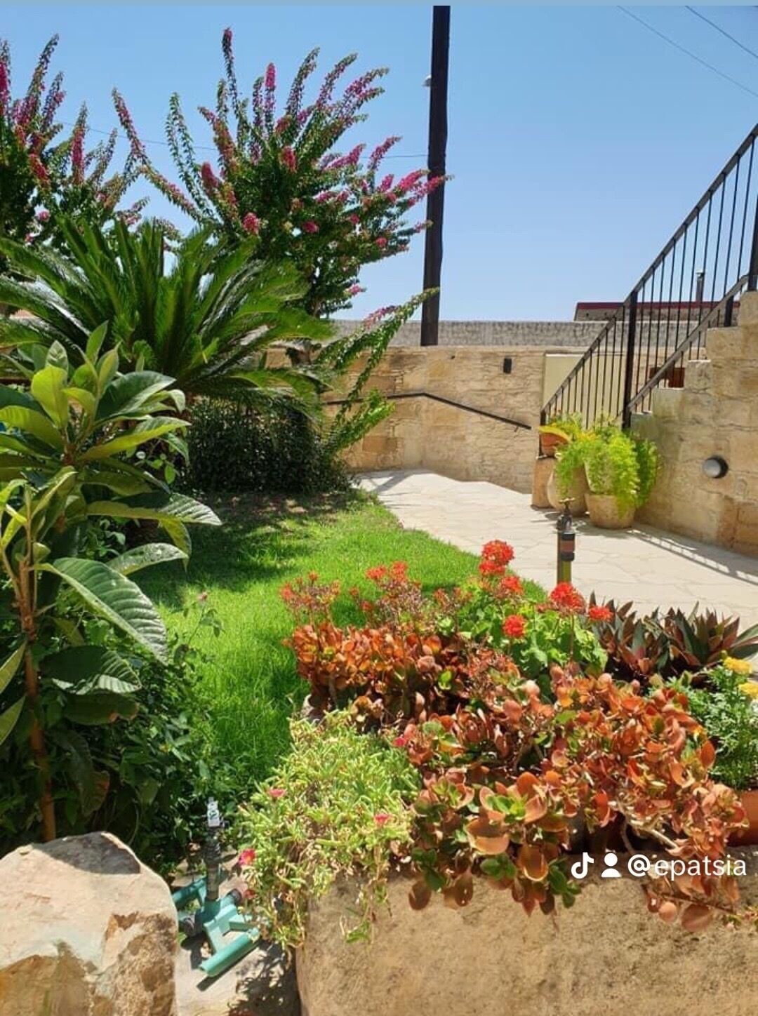 A garden with various plants and a stone wall.