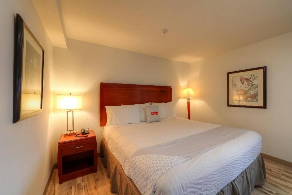 Une chambre d’hôtel avec un lit, des lampes de chevet, une table de chevet, un tableau encadré au mur et une petite étagère.