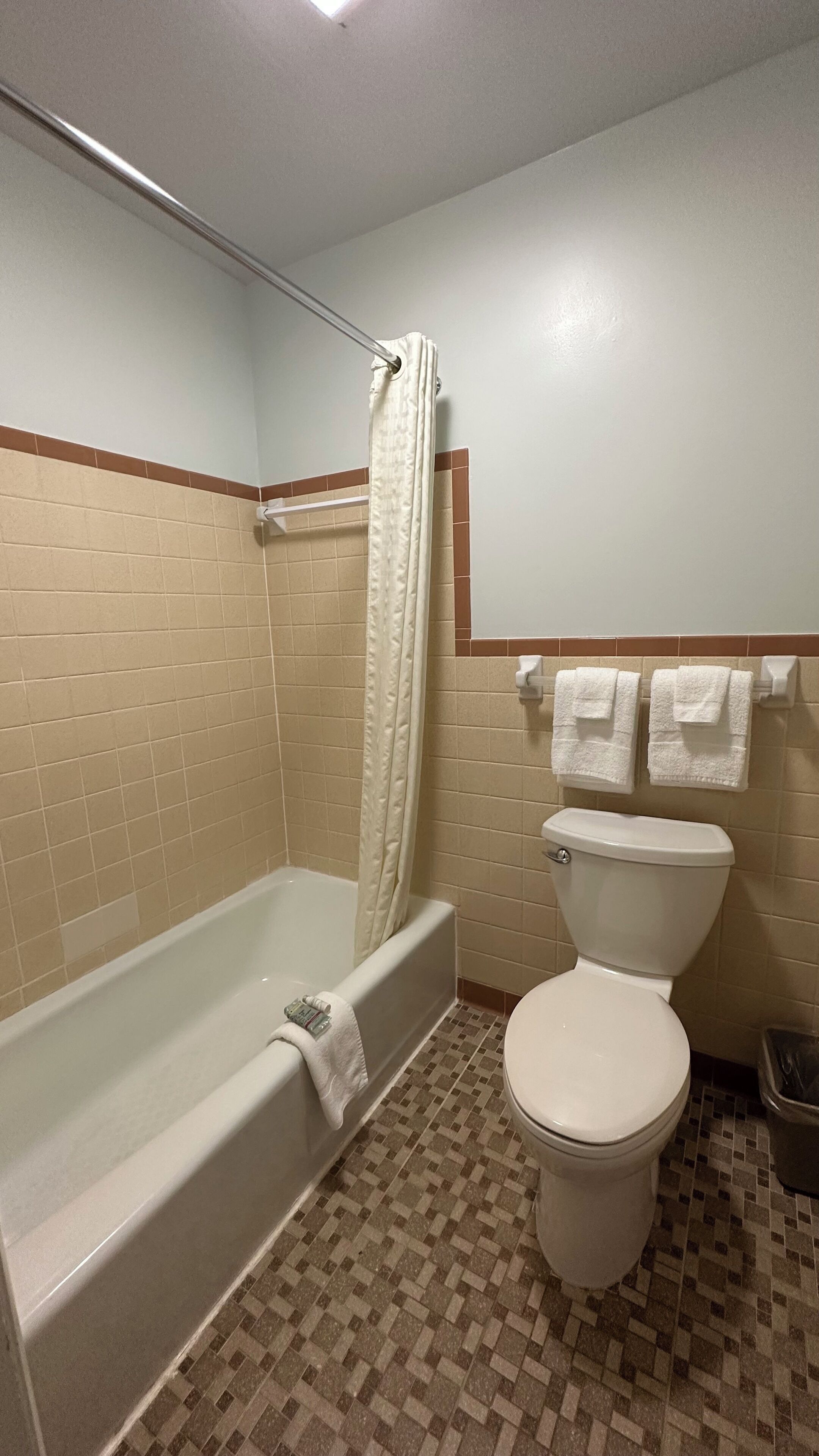 A bathroom with a bathtub, toilet, and a shower curtain.