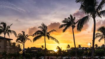 A sunset with palm trees and a crowd of people.
