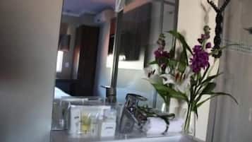 Shower, free toiletries, hair dryer