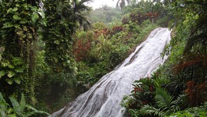 Uma cascata rodeada por vegetação tropical exuberante.