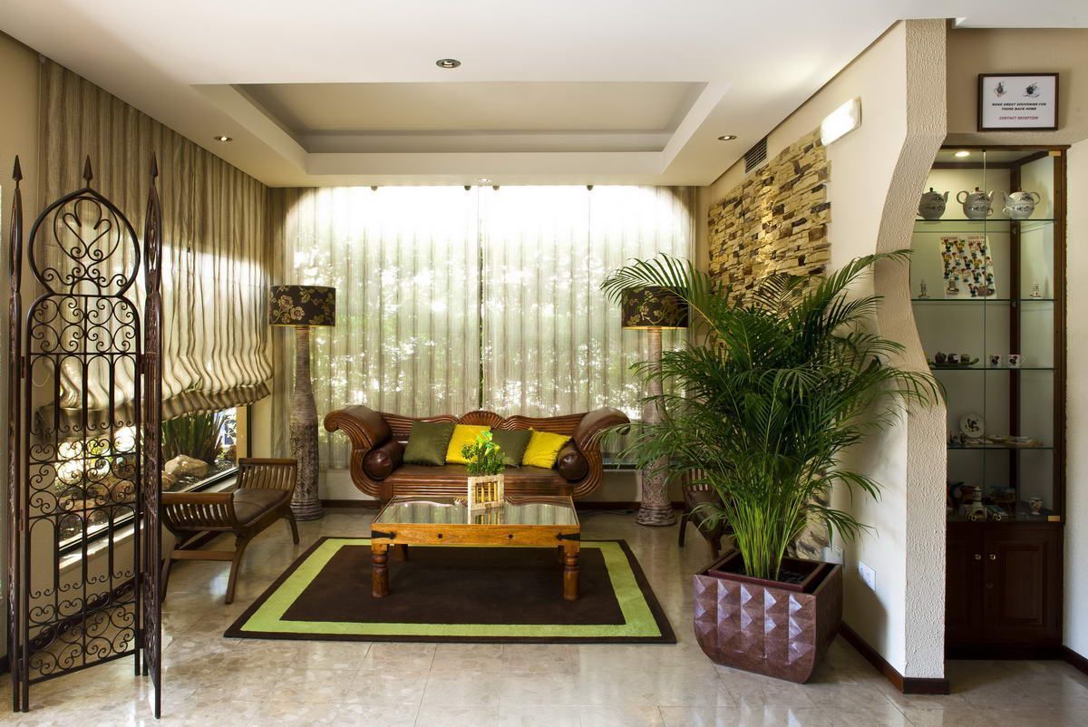 A living room with a sofa, coffee table, and decorative plants.