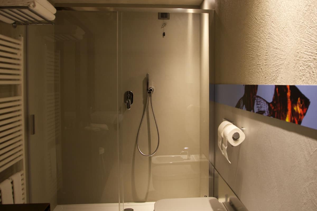 shower, rainfall showerhead, free toiletries, hair dryer