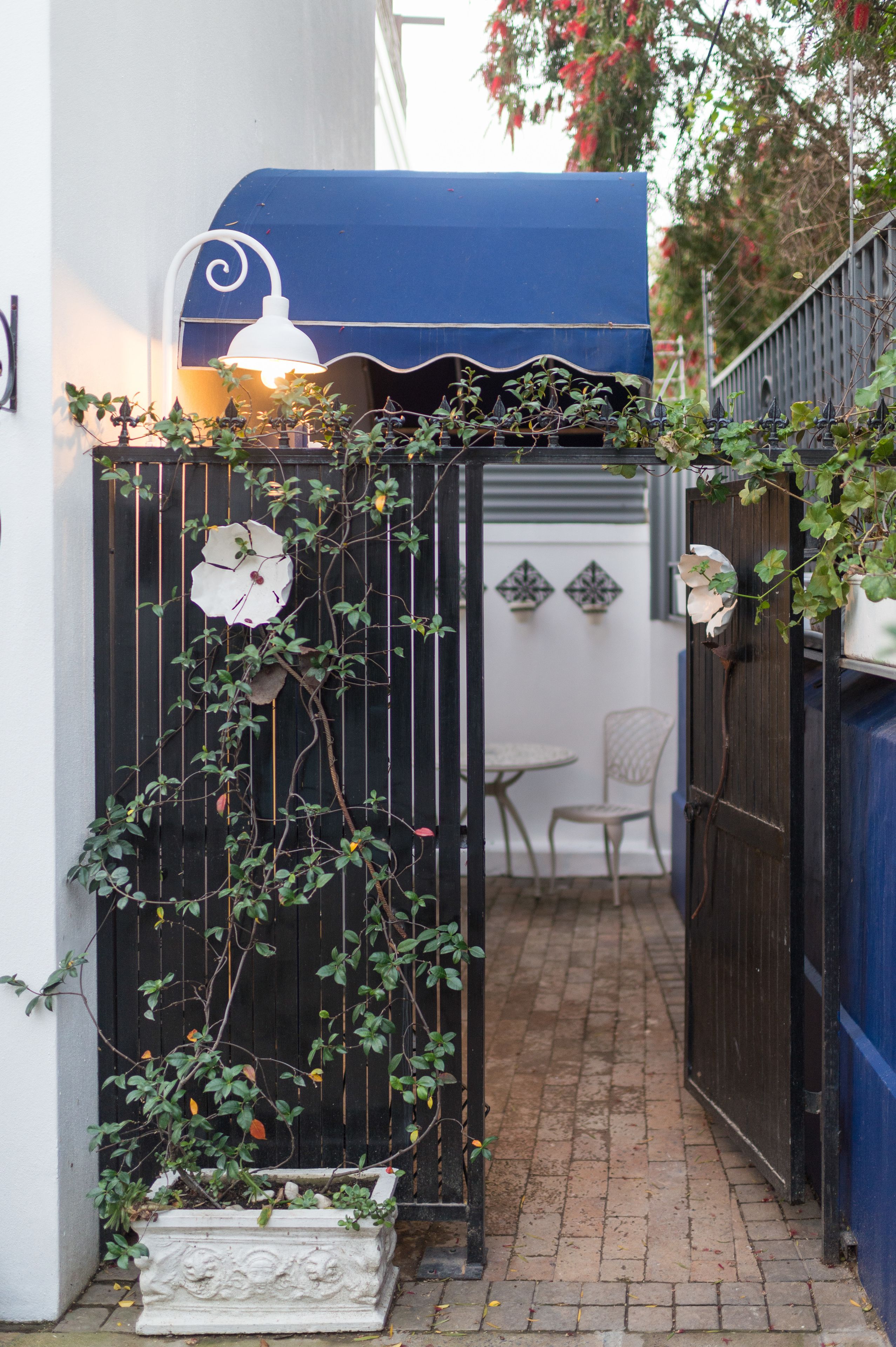 A gated entrance with a blue awning, a white decorative door, and a potted plant with climbing vines.