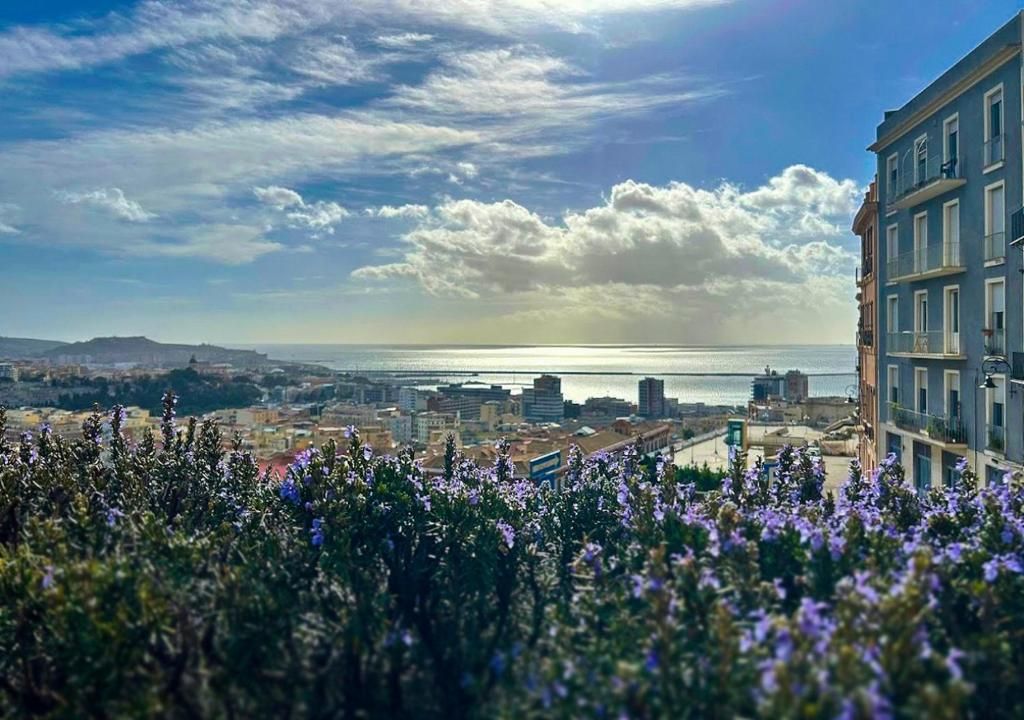 Photo - Cagliari Novecento
