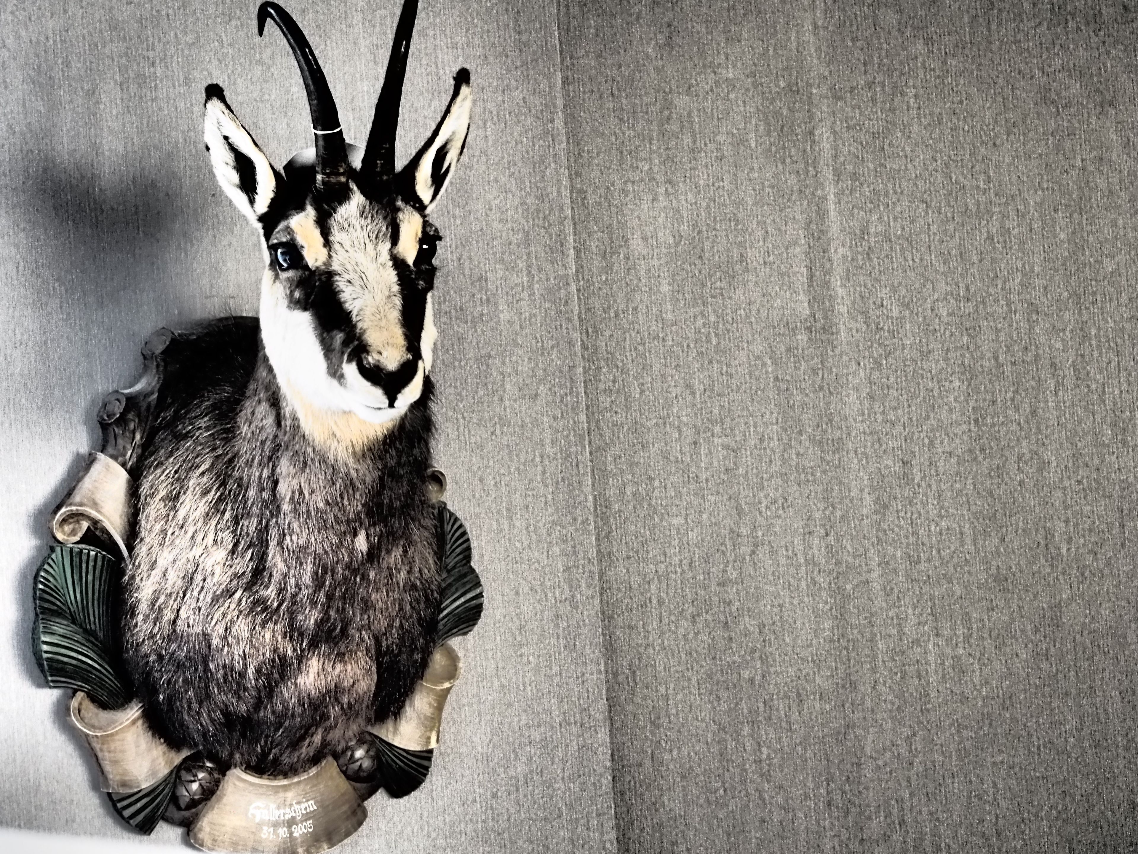 Una escultura de llama con una maceta de cerámica y elementos decorativos.