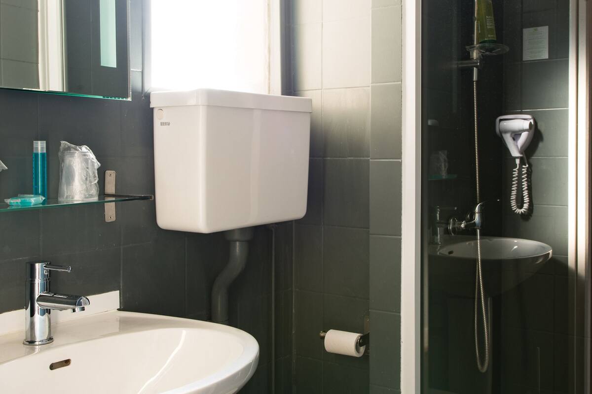 shower, free toiletries, hair dryer, towels