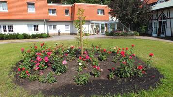 A garden with roses and a pathway leading to a building with a red roof and white walls.
