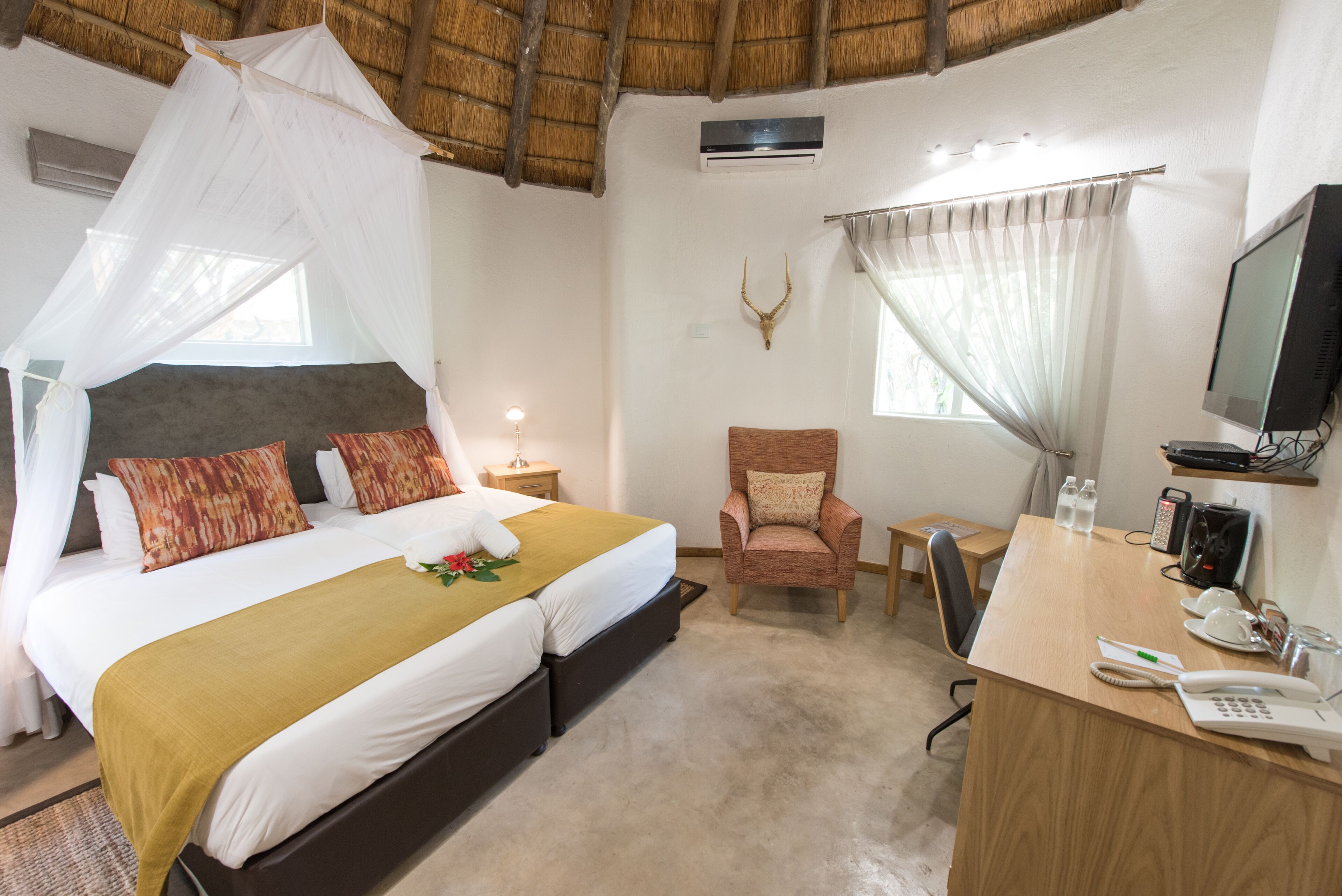 A hotel room with a bed, a desk, a chair, a TV, and a decorative antler on the wall.