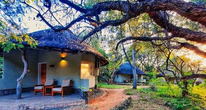 Sefapane Lodges and Safaris