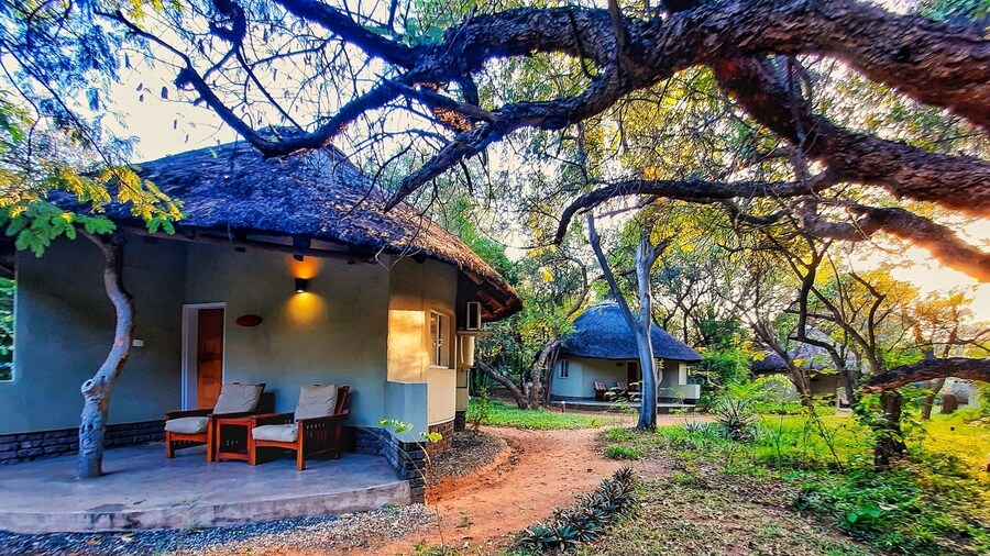 Sefapane Lodges and Safaris