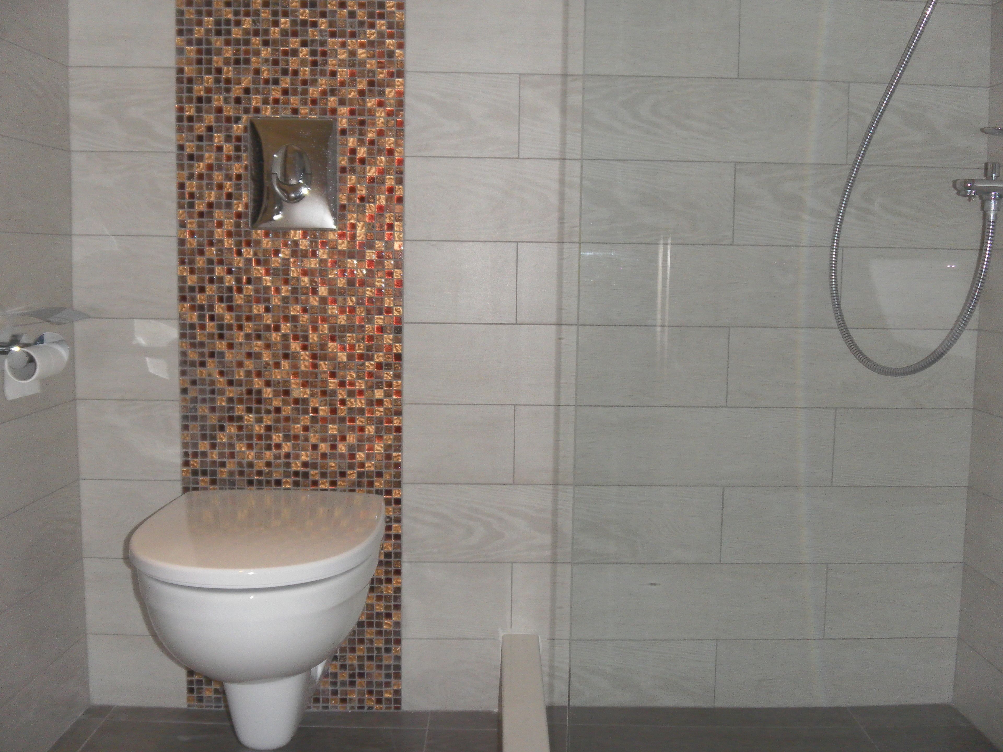 Ein Badezimmer mit Toilette, Dusche und einer Wand mit einem Mosaik-Fliesenmuster.