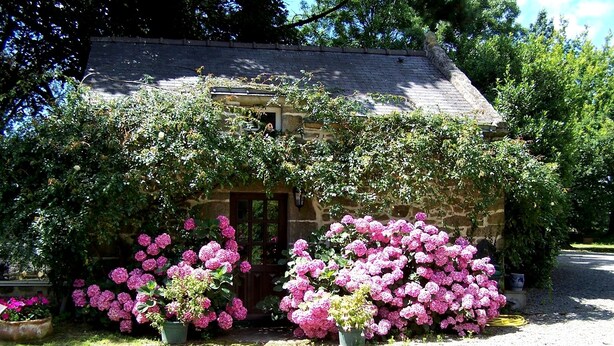 Una cabaña de piedra con techo inclinado, rodeada de exuberante follaje y vibrantes flores rosadas.