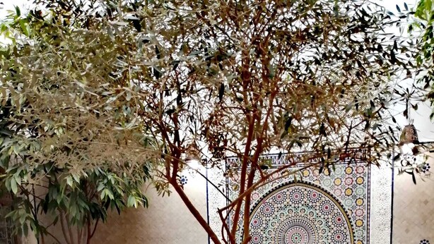 A poolside area with a tiled floor, a table with chairs, a vase of red roses, and a decorative wall with intricate tile work. - Riad Attarine (Fes)