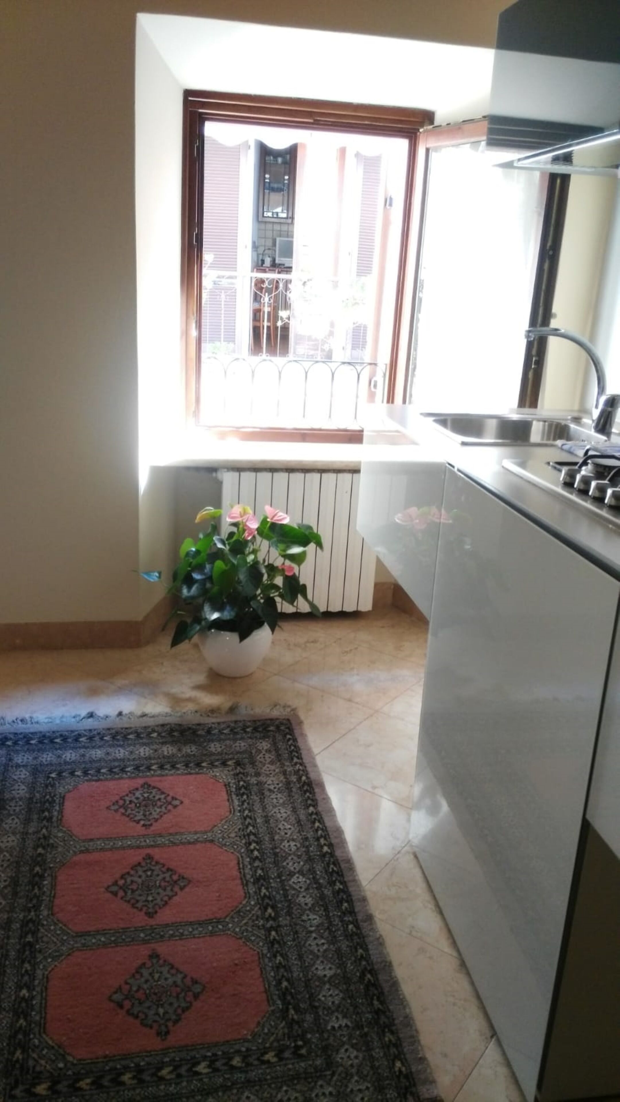 A compact kitchen with a window, a potted plant, and a patterned rug.