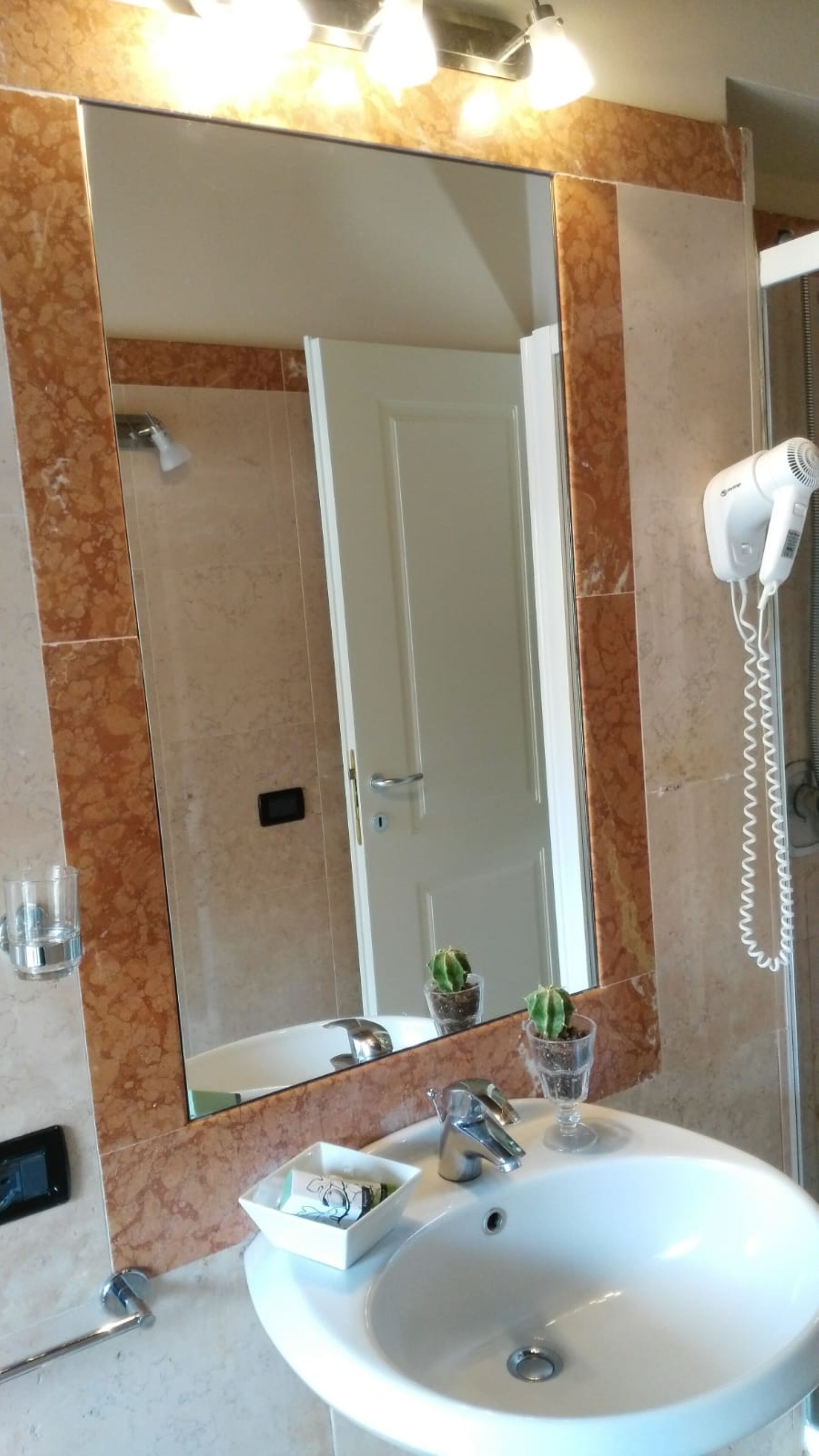 Un baño con un espejo grande, un lavabo, un secador de pelo de mano y una pequeña planta en maceta.