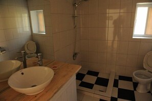 Shower, hair dryer
