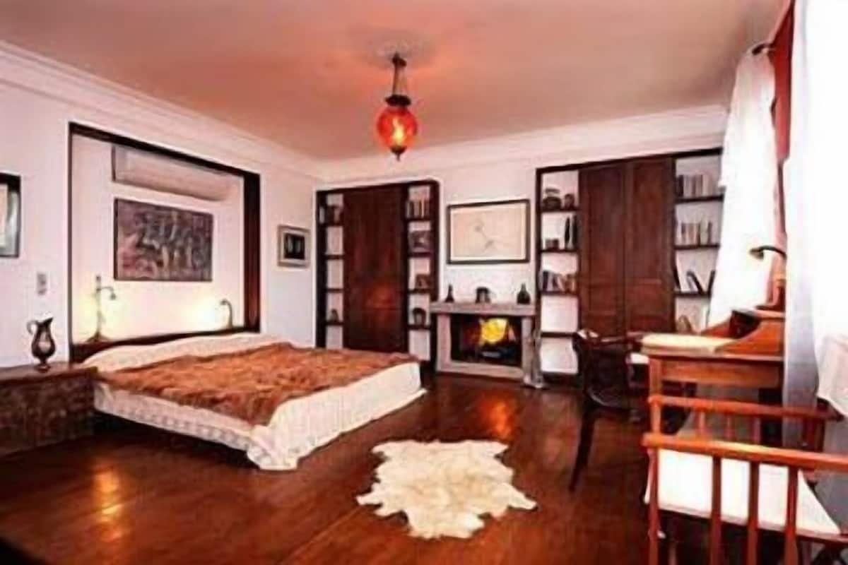 Um quarto com cama, escrivaninha, cadeira, lareira e tapete.
