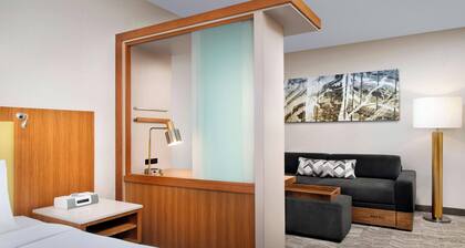 SpringHill Suites by Marriott Potomac Mills Woodbridge