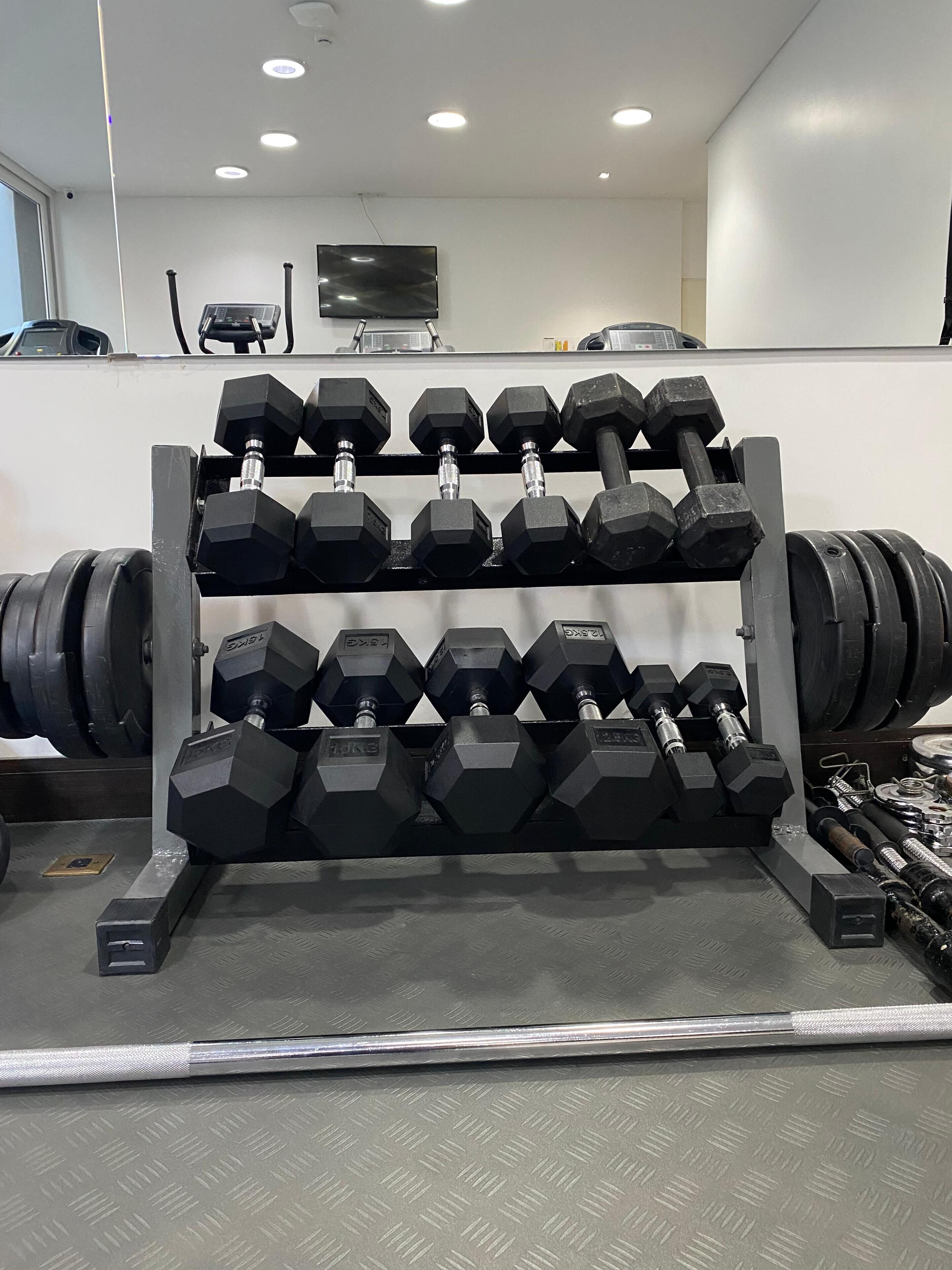 Ett gym med ett ställ med hexagonala hantlar och skivstänger.