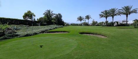 Un campo de golf bien cuidado, con cielo despejado, palmeras y un asta con bandera.