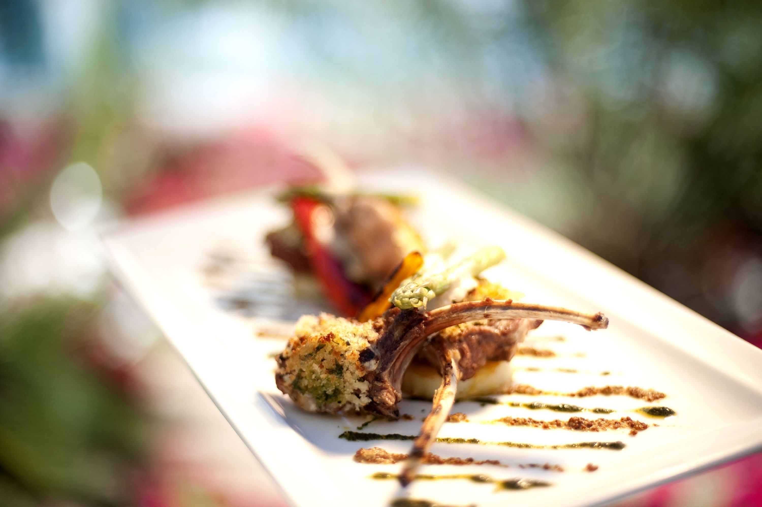 A dish with a lamb shank and vegetables on a white plate.