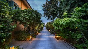 Un sendero bordeado por abundante follaje e iluminado con faroles, que conduce a un edificio de fachada color crema.