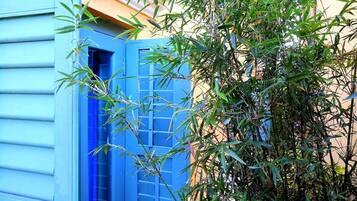 A building with a blue exterior and a bamboo plant in front.