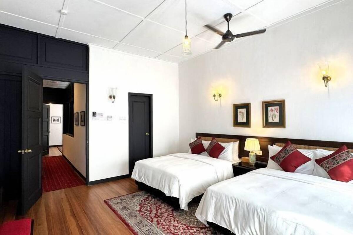 Literie de qualité supérieure, couette en duvet d'oie