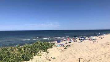 Playa en los alrededores